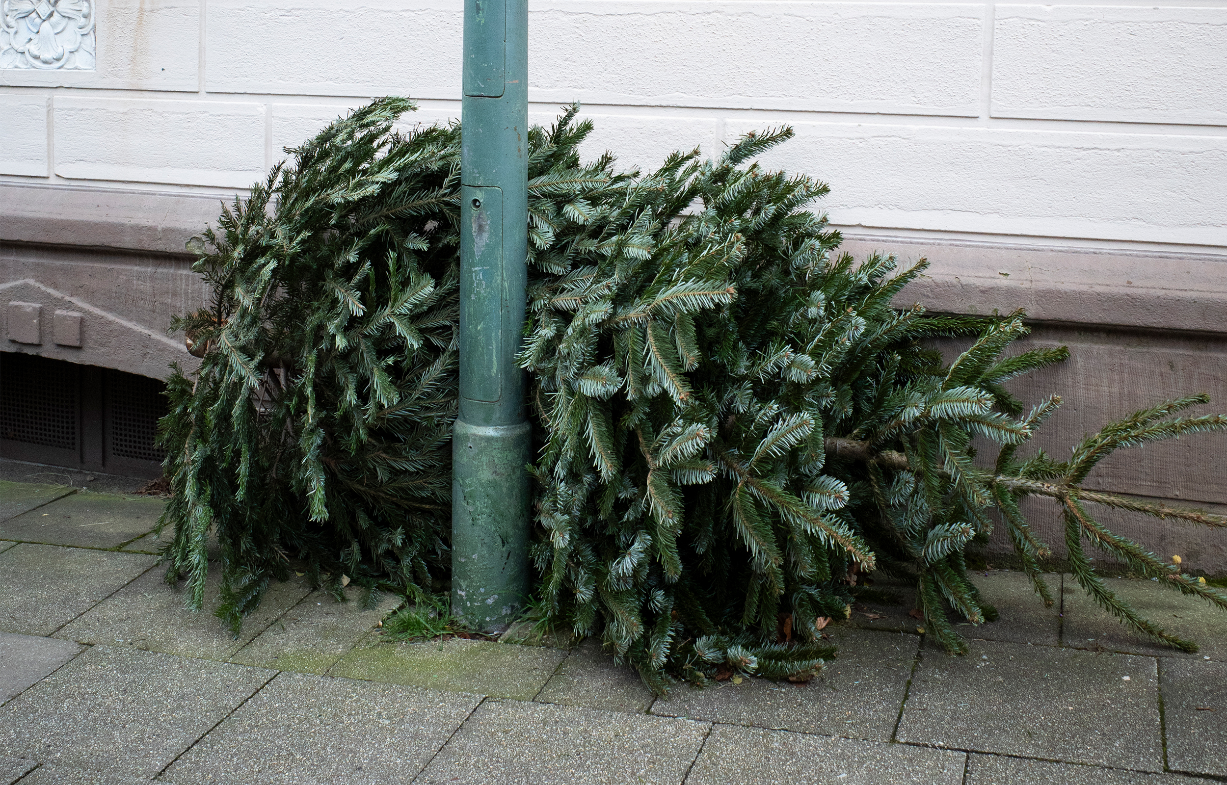 Weihnachtskarten